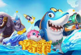 ky9555cc开元免费版